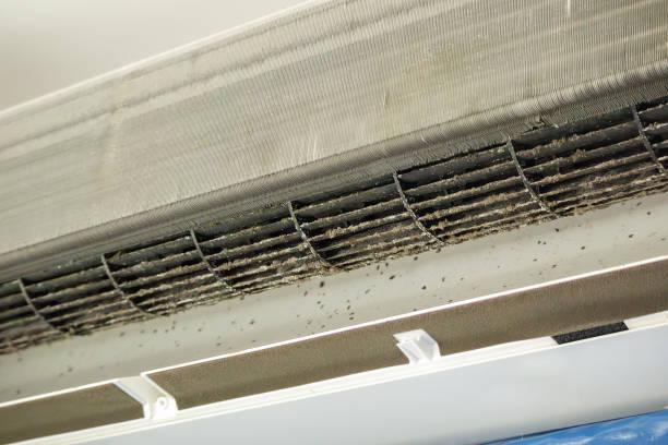 Best Residential Air Duct Cleaning  in Laurens, IA