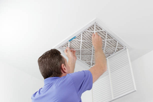Best Ductwork Cleaning Services  in Laurens, IA